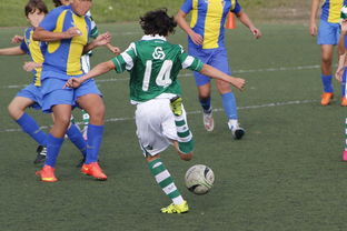 爱游戏在线登录入口-国际足球协会推动足球全民普及，青少年参与度飙升，各国青少年足球注册人口